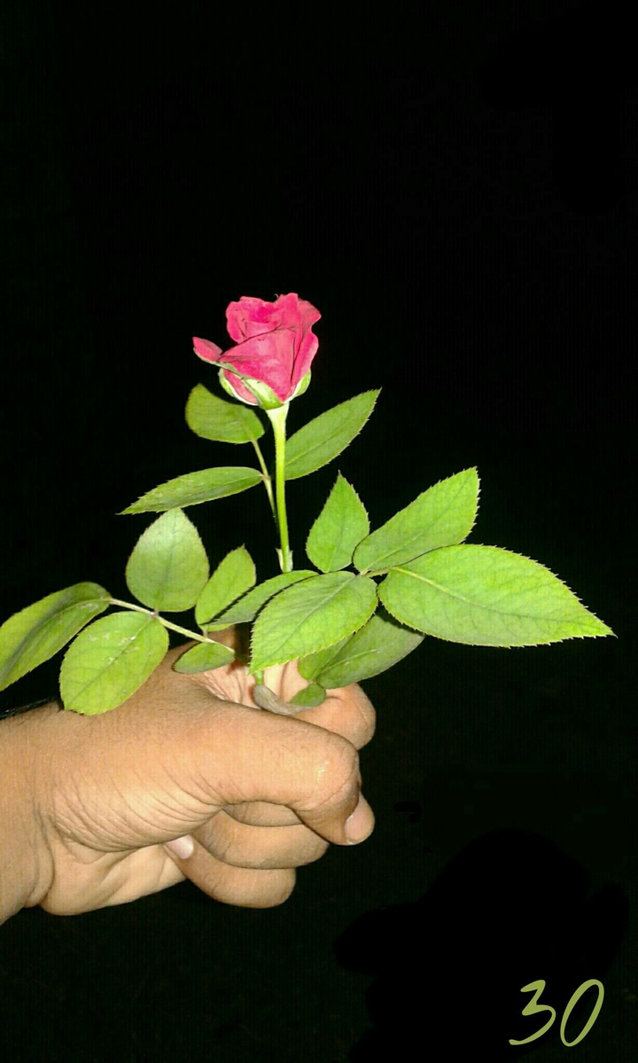 gift