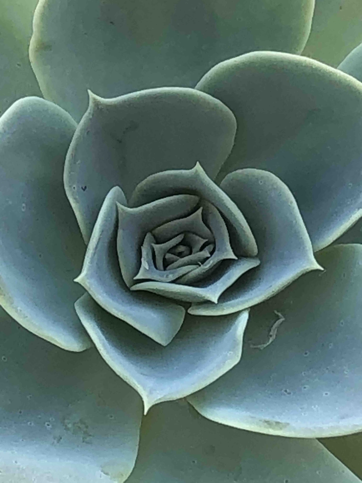 Fractal