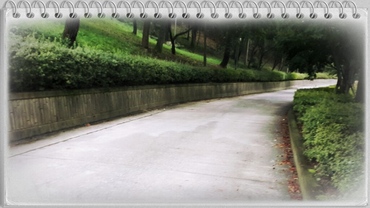 A path in life