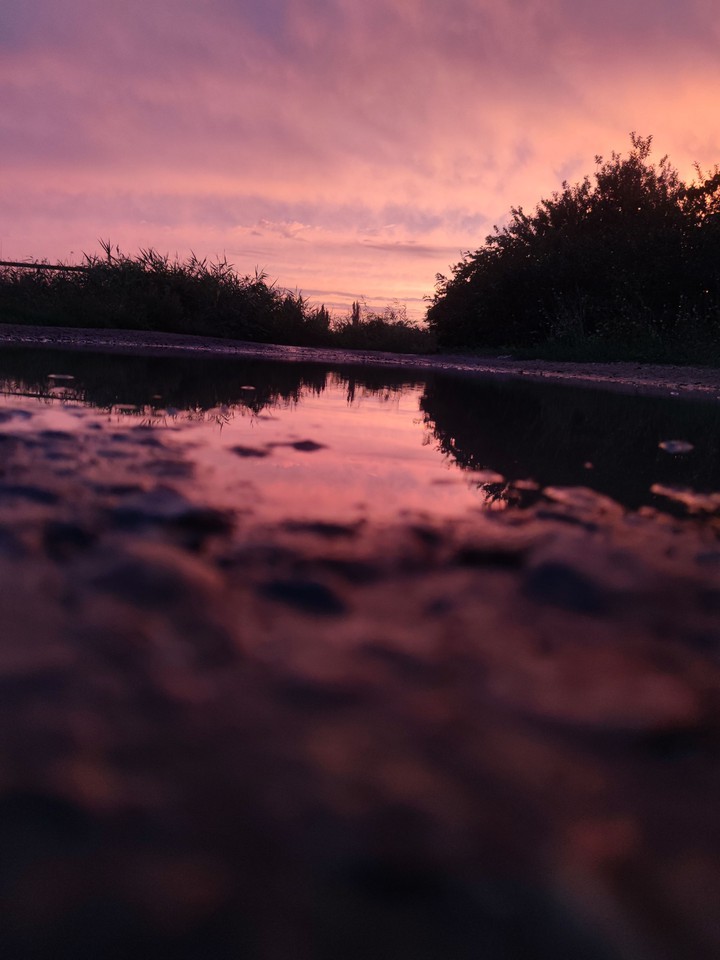 rain