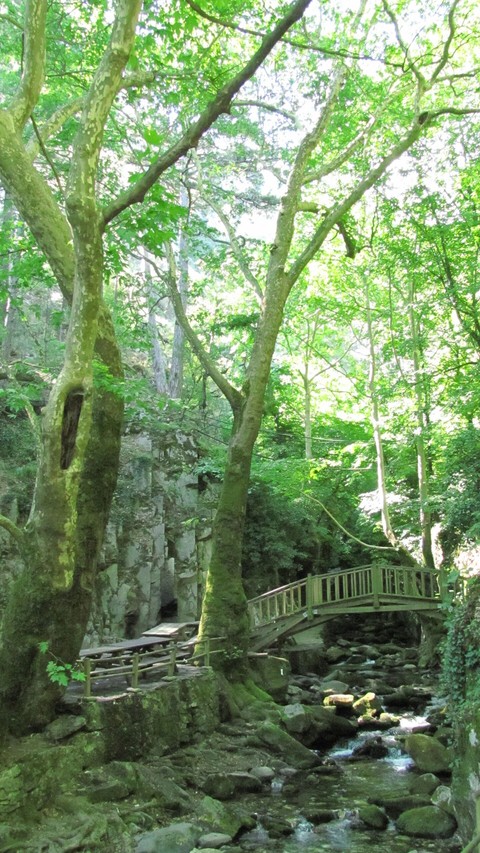 Place of peace