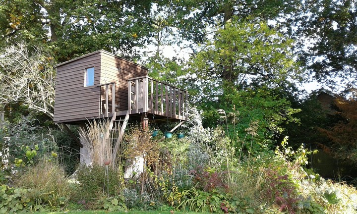 Tree house