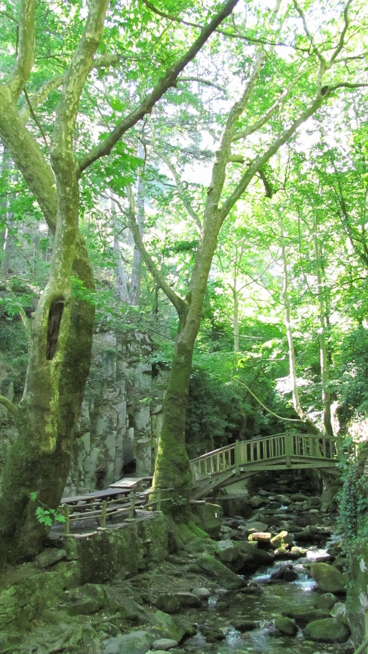 Place of peace