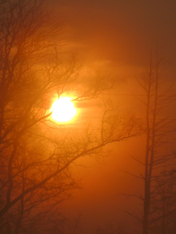 Sun and fog