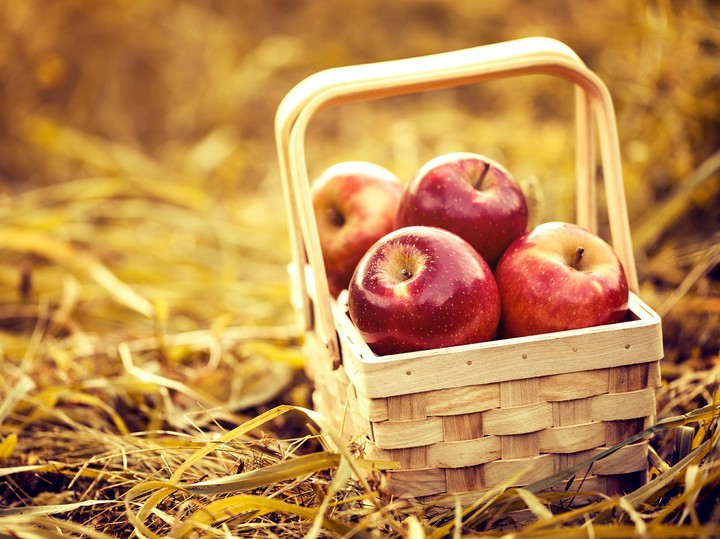 ⭐Apples⭐