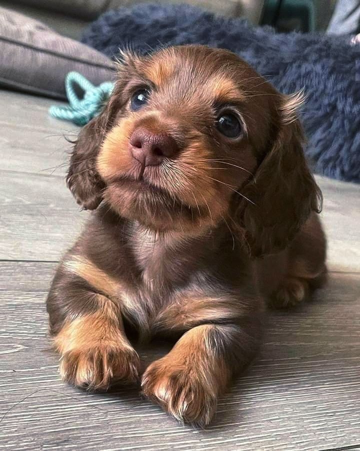 Cute