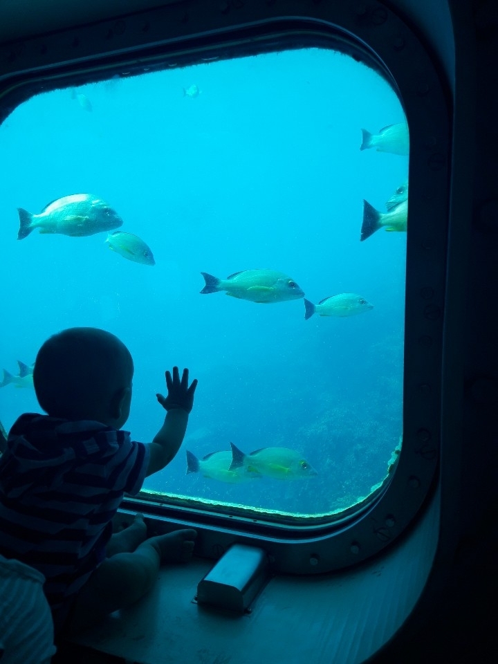 sea and baby
