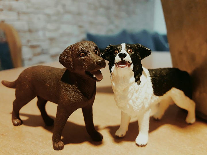 best friends
