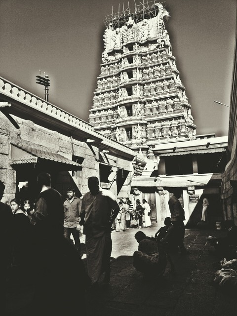 temple run