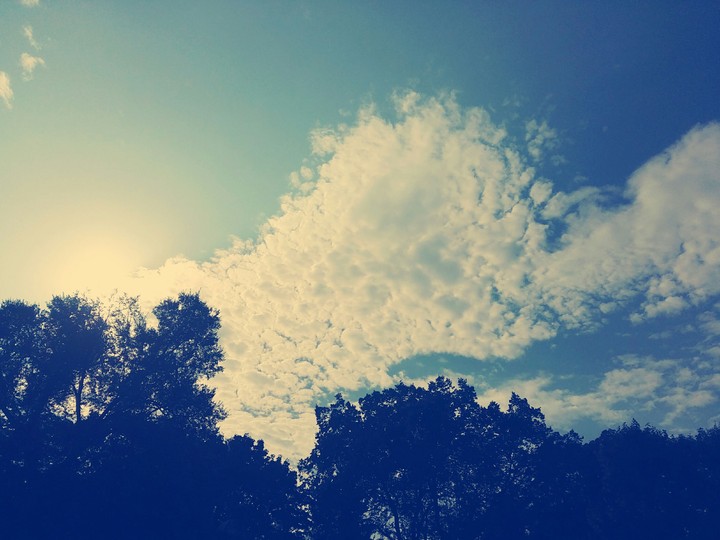 a nice day