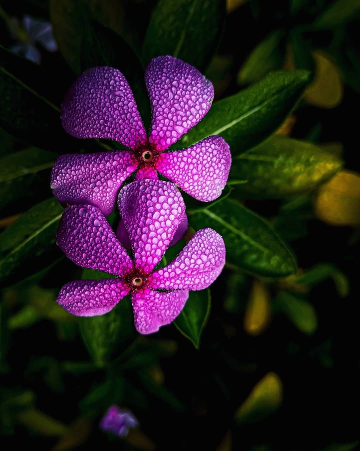 my photographing (Rj)