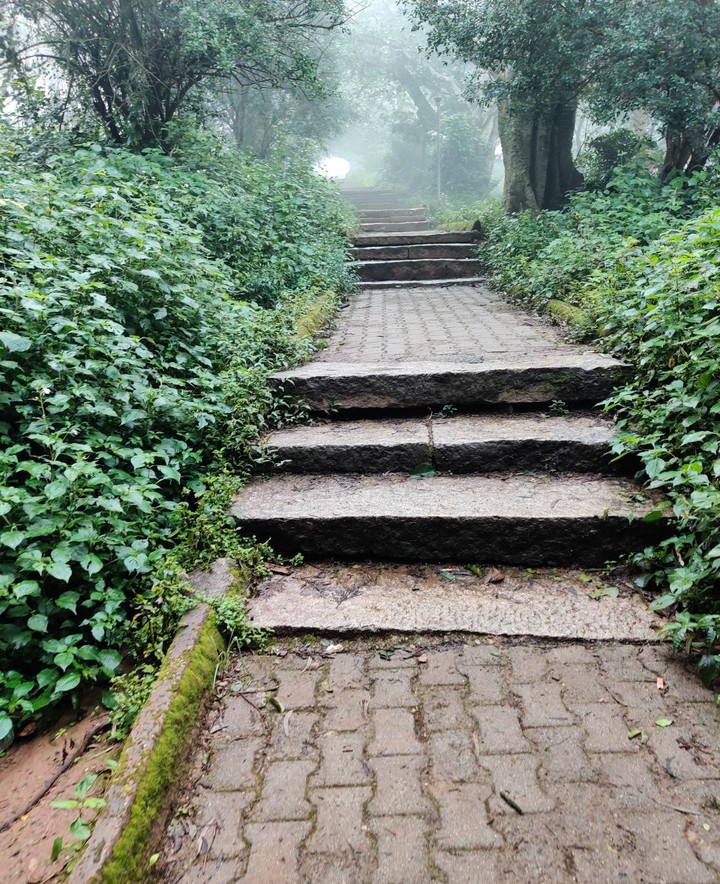 Nandi Hills