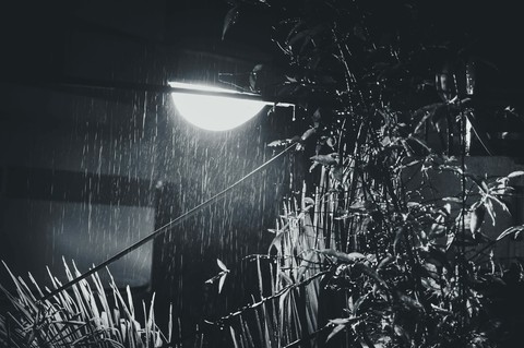 rain