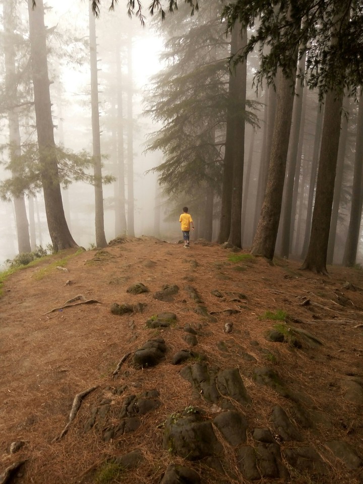 Kid in Woods - Pakistan