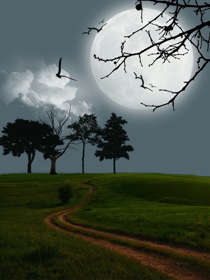 landscape