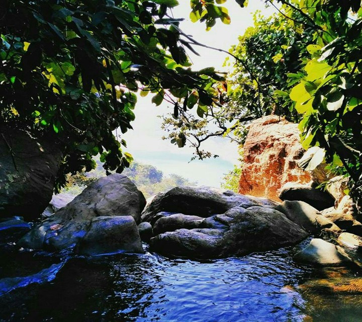 Bule Shadowy Water