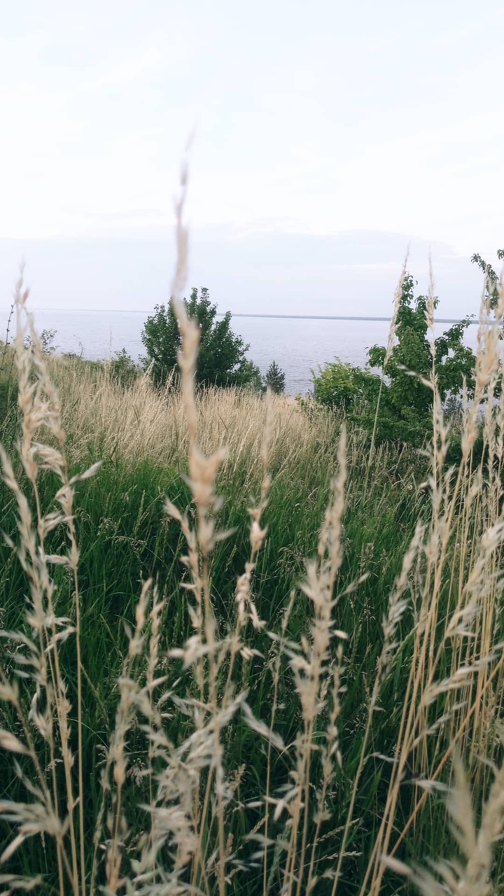 nature