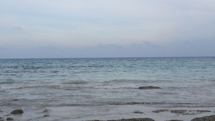 Sea shore....