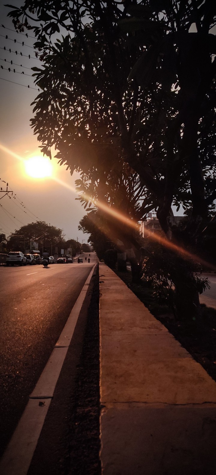 sunsets