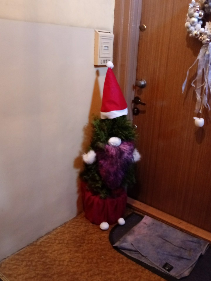 elf czy choinka czy może mikołaj?