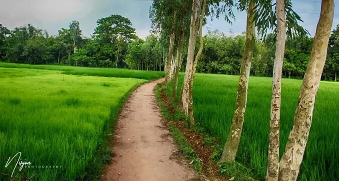path