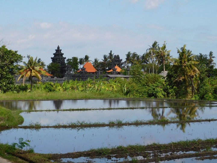 Bali landscape