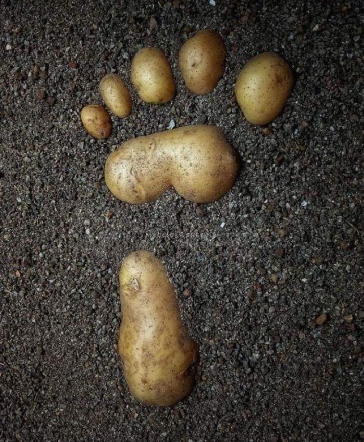 Potato Foot