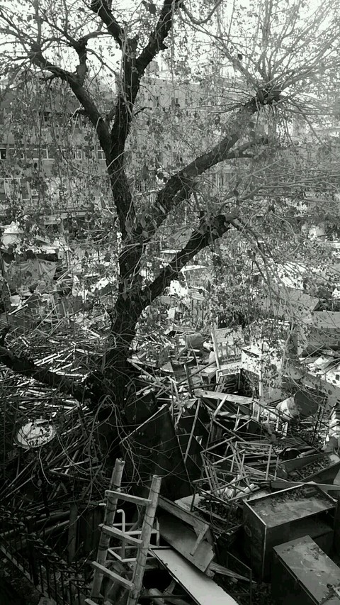 Broken Dreams