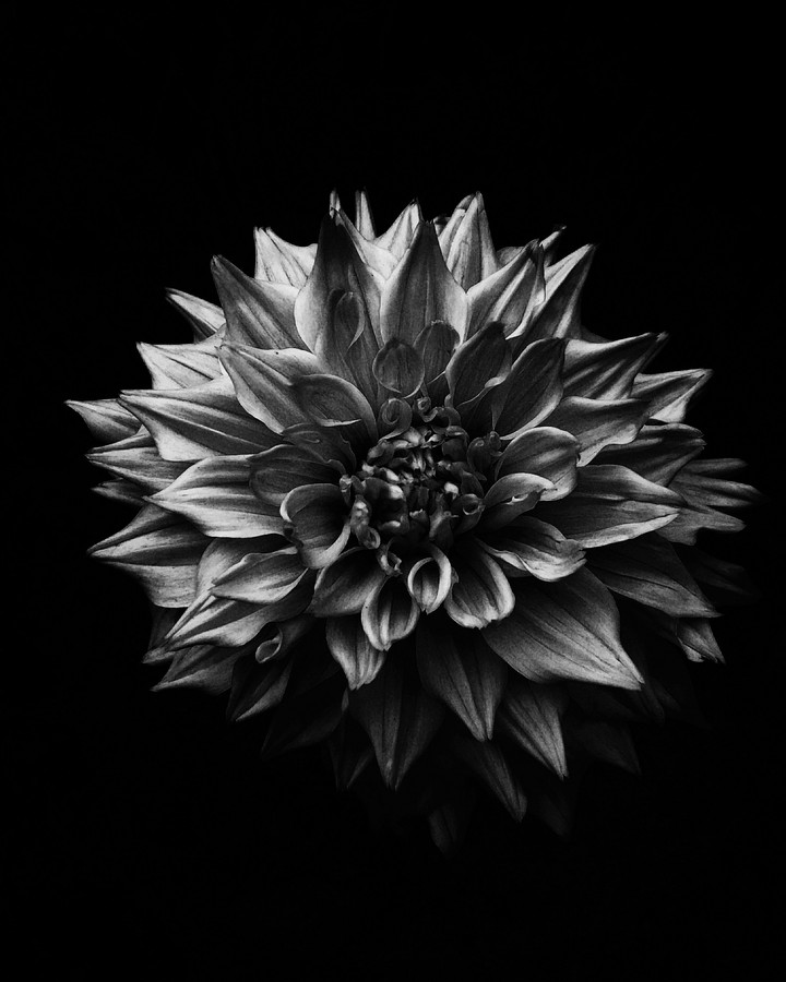 B&W.