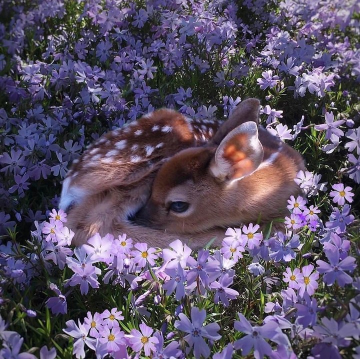 so cute