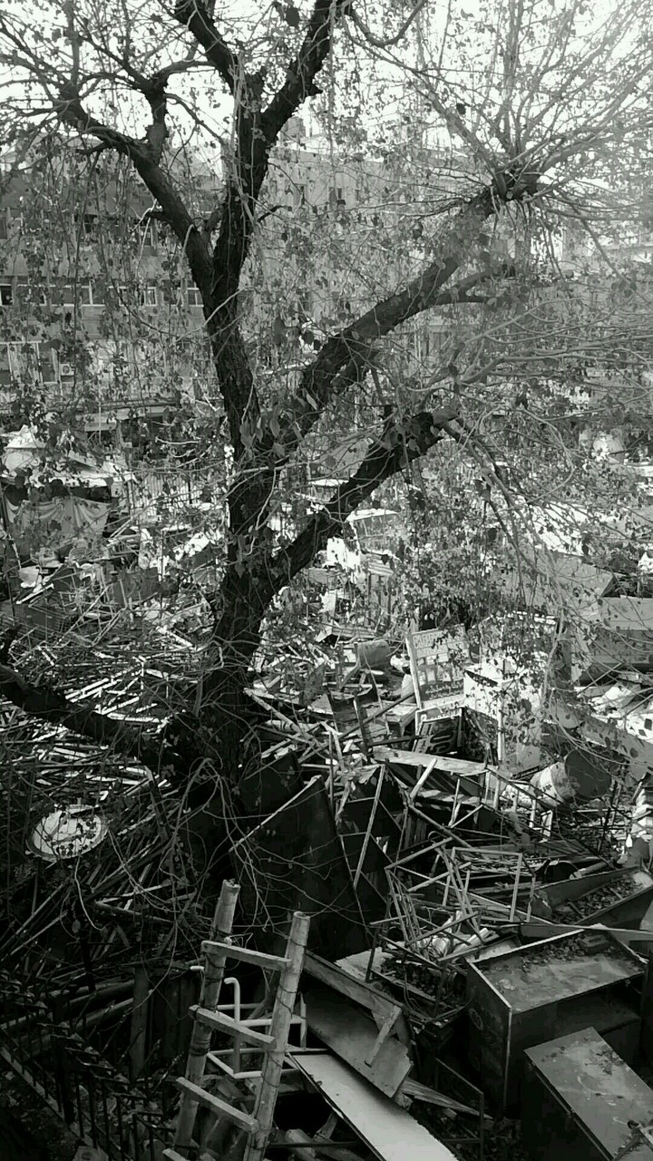 Broken Dreams