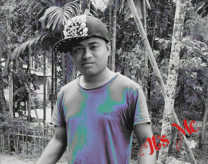 yo yo