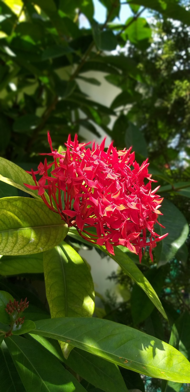 Red!