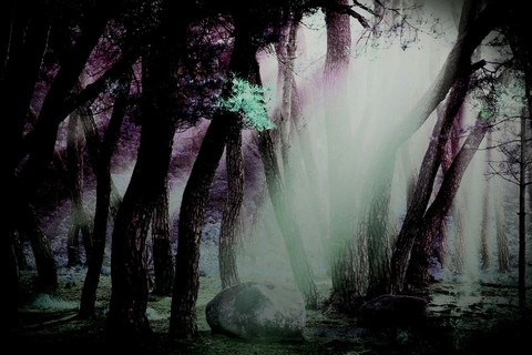 darkness