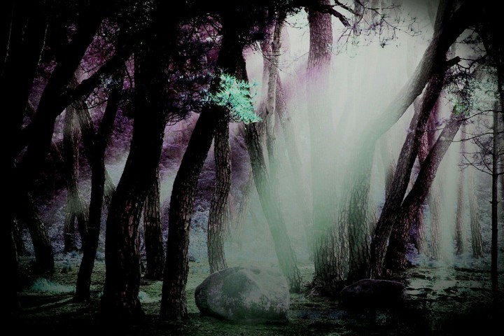 darkness