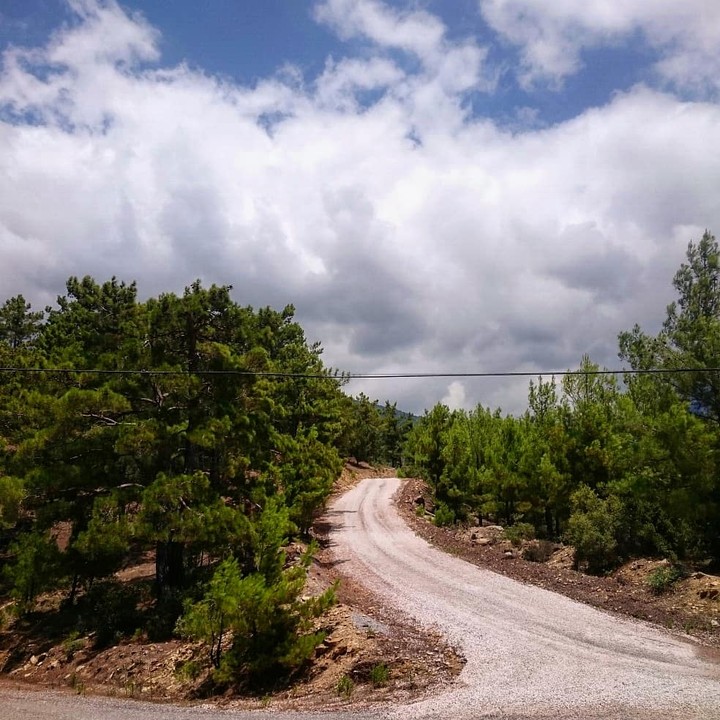 green road.