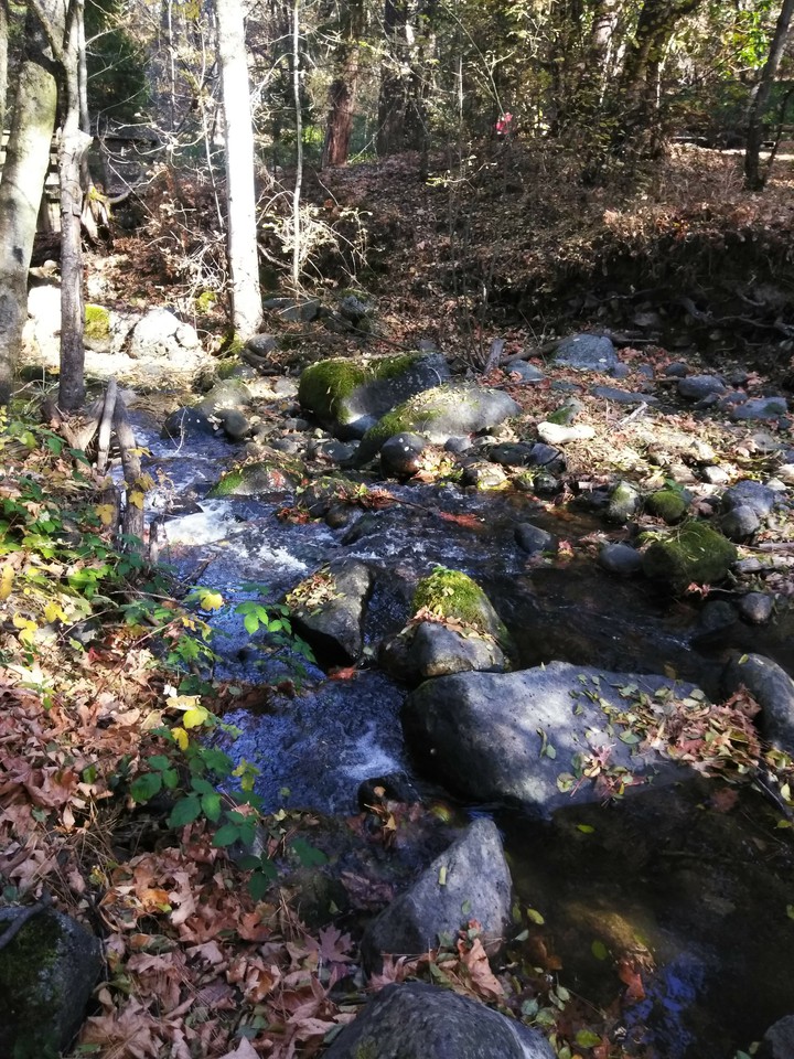 Creek