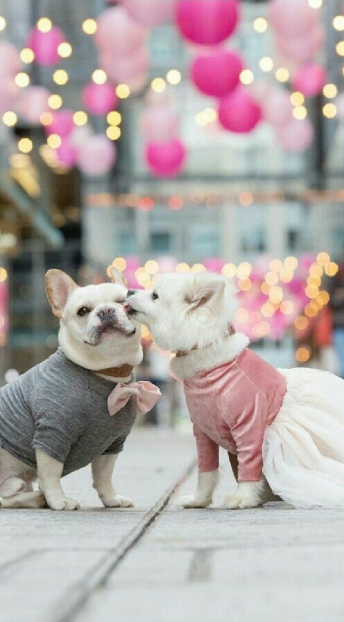 cutee