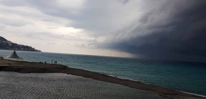 mare