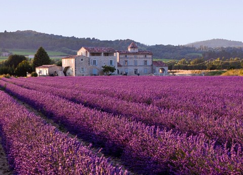 nature of France