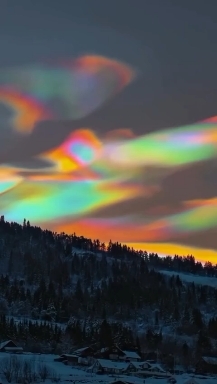 Nature.