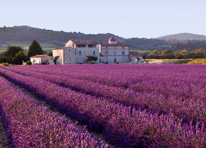 nature of France