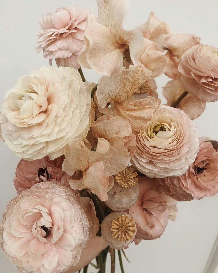 Flowers❤