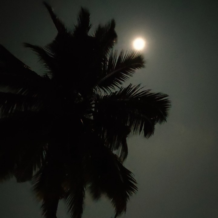 Moon