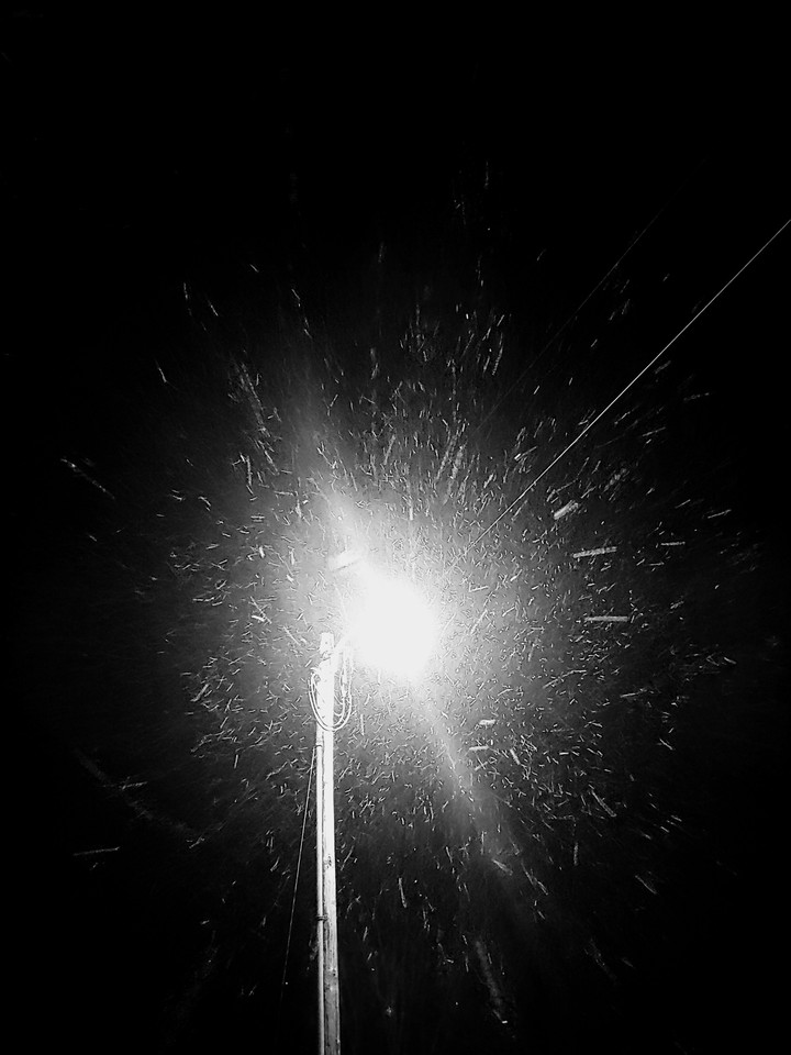2:30 am Snowing ❤