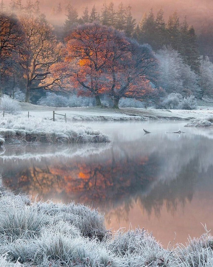 frosty morning