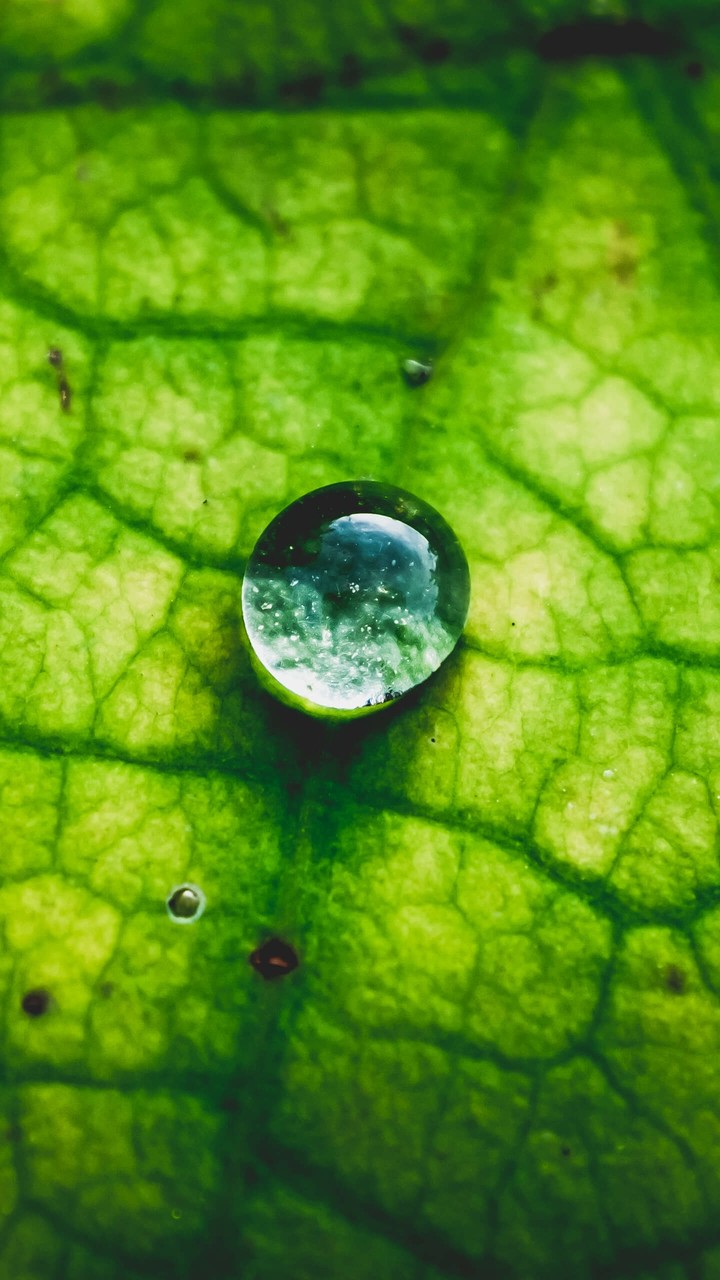 Drop