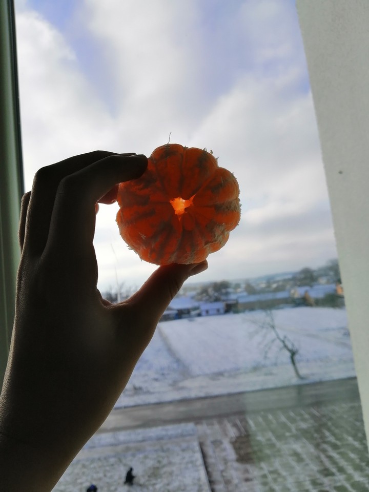 мандаринка