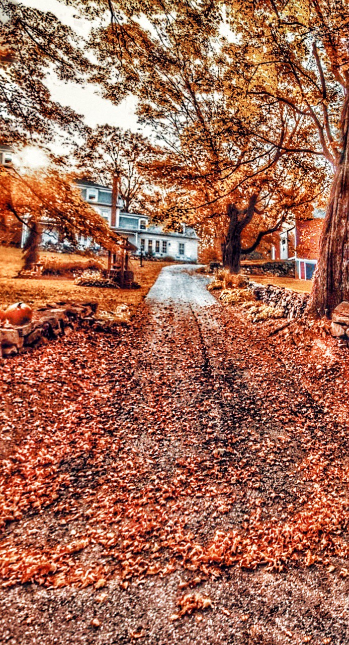 fall