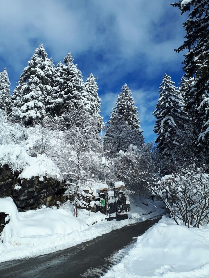snowfall effect!